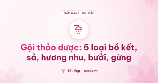 Gội thảo dược: 5 loại bồ kết, sả, hương nhu, bưởi, gừng