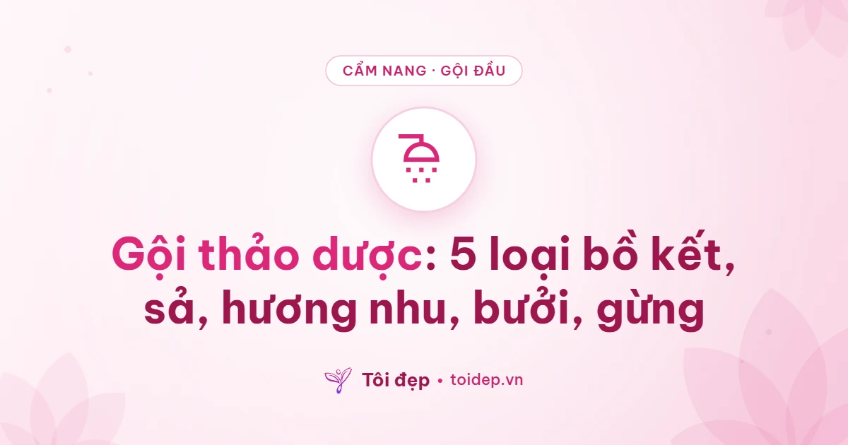 Gội thảo dược: 5 loại bồ kết, sả, hương nhu, bưởi, gừng